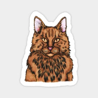 Cat Face Sticker